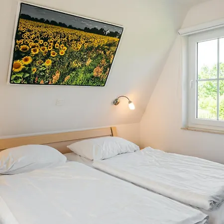 C 5 Premium Reethaus Delphin Mit Eigenem Whirlpool Und Aussensauna